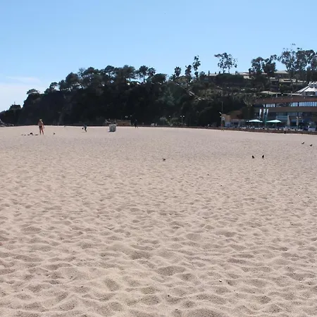 Piso Andrea 아파트